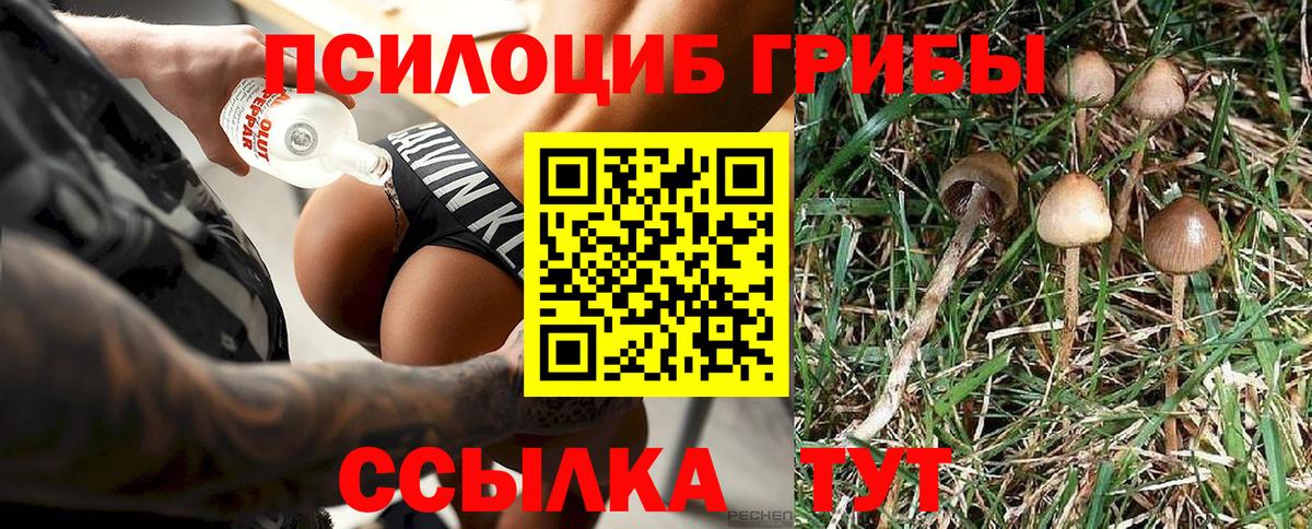 Галлюциногенные грибы мухоморы Асино