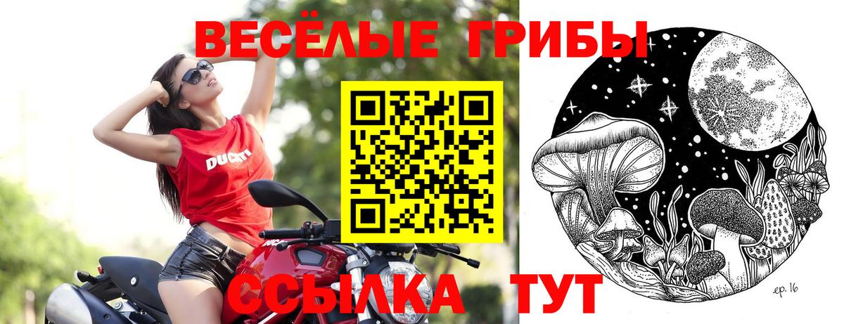 где можно купить наркотик  Вход с VPN  Асино  Галлюциногенные грибы Magic Shrooms 